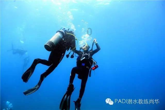 遇到阿古朵蒙恬体系该怎么打,只能被吃分?