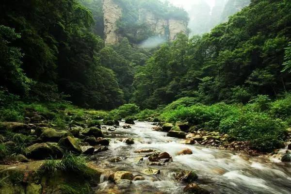 赛伍技术:浙江赛伍8000吨高端聚烯烃项目即将建设完毕,环评、能评已取得备案通知,安评正在办理中